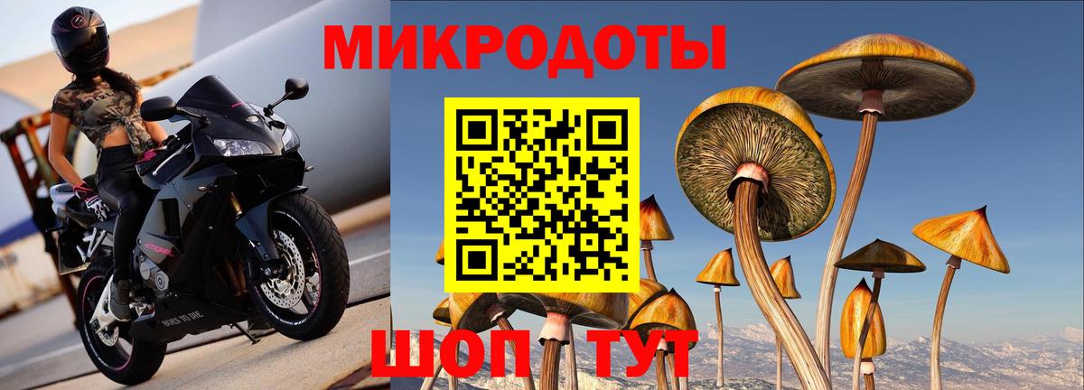 Галлюциногенные грибы Psilocybine cubensis  Вход с VPN  Каменск-Уральский 